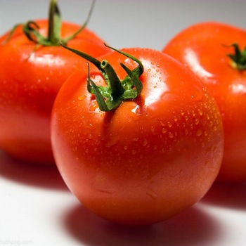 Iranian fresh tomato